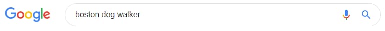 Shows a Google search with "boston dog walker" typed in.